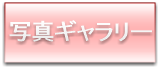 ʐ^M[